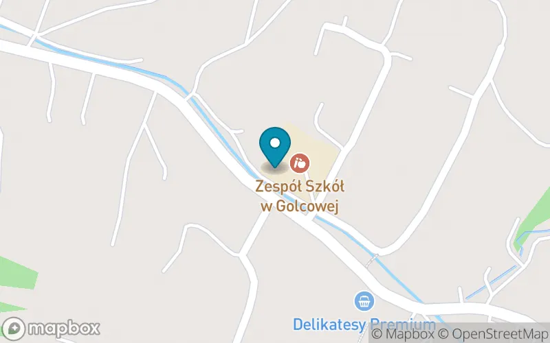 Lokalizacja: Szkoła Podstawowa nr 1 w Golcowej
