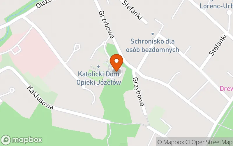 Lokalizacja: Leśne Opowieści