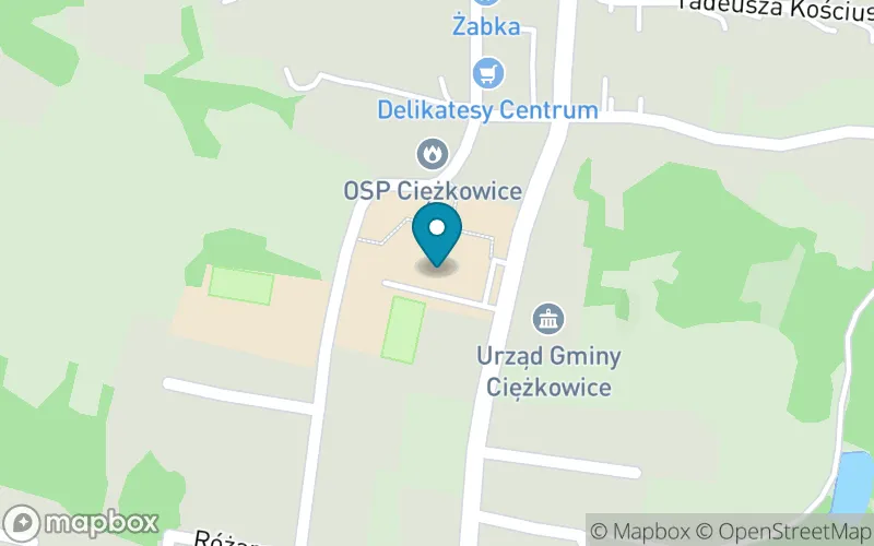 Lokalizacja: Szkoła Podstawowa im. Św. Jana Pawła II w Ciężkowicach