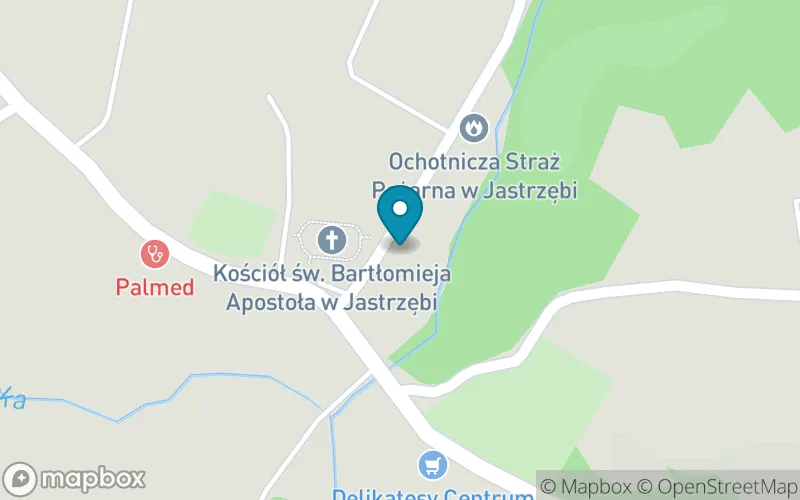 Lokalizacja: Szkoła Podstawowa nr 1 im. Św. Jadwigi Królowej w Jastrzębiej