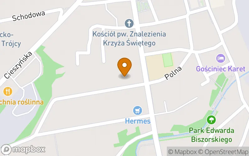 Lokalizacja: Prywatna Szkoła Policealna "Proffesor" w Skoczowie