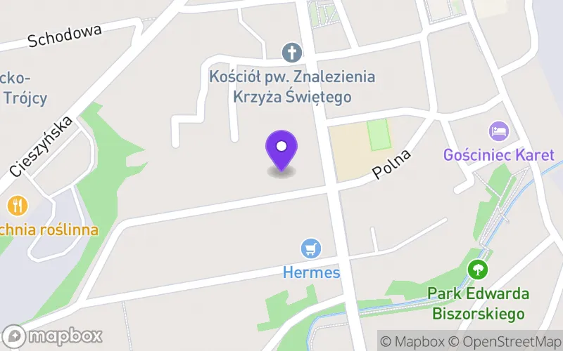 Lokalizacja: Prywatna Szkoła Liceum Ogólnokształcące dla Dorosłych "Proffesor" w Skoczowie