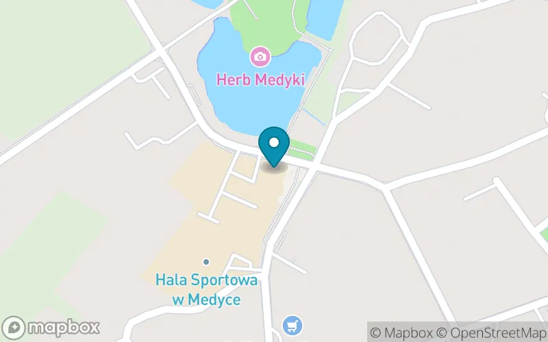Lokalizacja: Szkoła Podstawowa w Medyce im. Króla Wł. Jagiełły