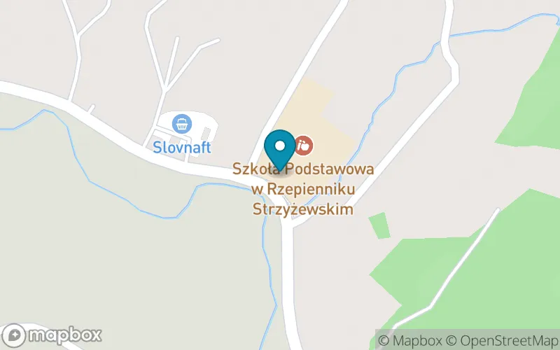 Lokalizacja: Szkoła Podstawowa w Rzepienniku Strzyżewskim