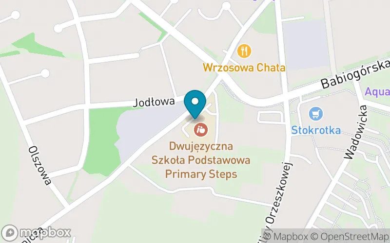 Lokalizacja: Dwujęzyczna Szkoła Podstawowa "Primary Steps"