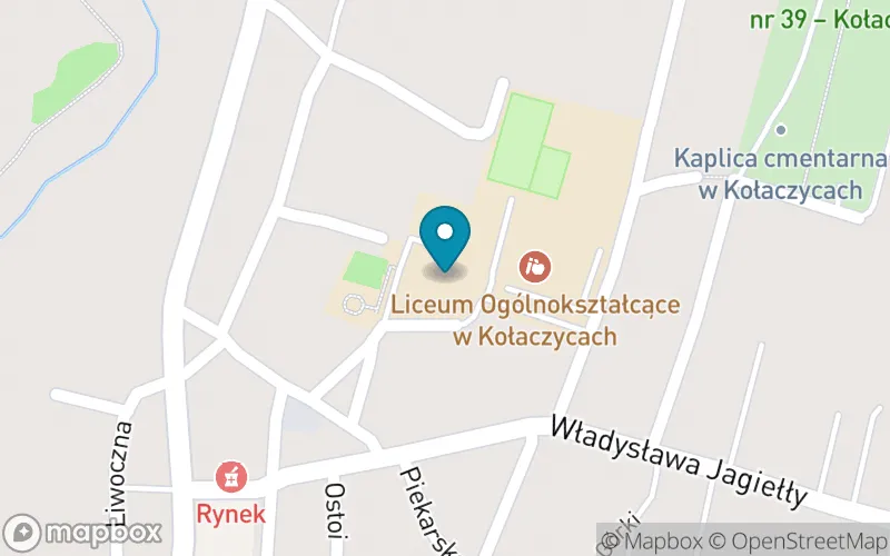 Lokalizacja: Publiczna Szkoła Podstawowa im. Żołnierzy i Armii Wojska Polskiego w Kołaczycach