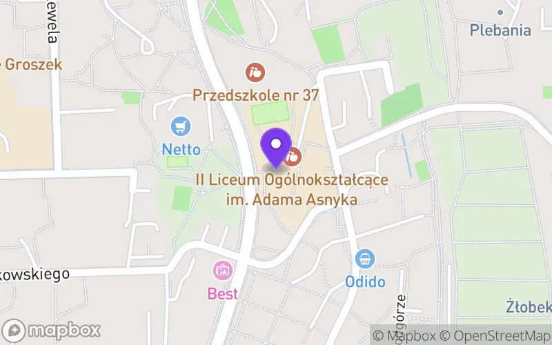 Lokalizacja: II Liceum Ogólnokształcące im. Adama Asnyka w Bielsku-Białej