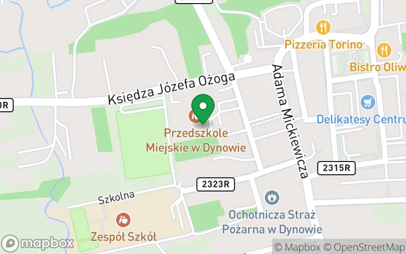 Lokalizacja: Przedszkole Miejskie Dynów