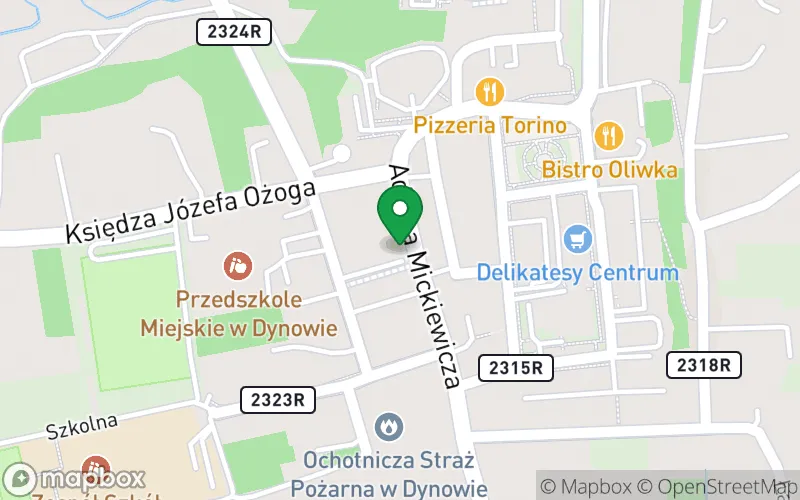 Lokalizacja: Niepubliczne Przedszkole Językowe "Akademia Przedszkolaka"