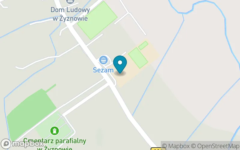 Lokalizacja: Szkoła Podstawowa im. Rotmistrza Witolda Pileckiego w Żyznowie