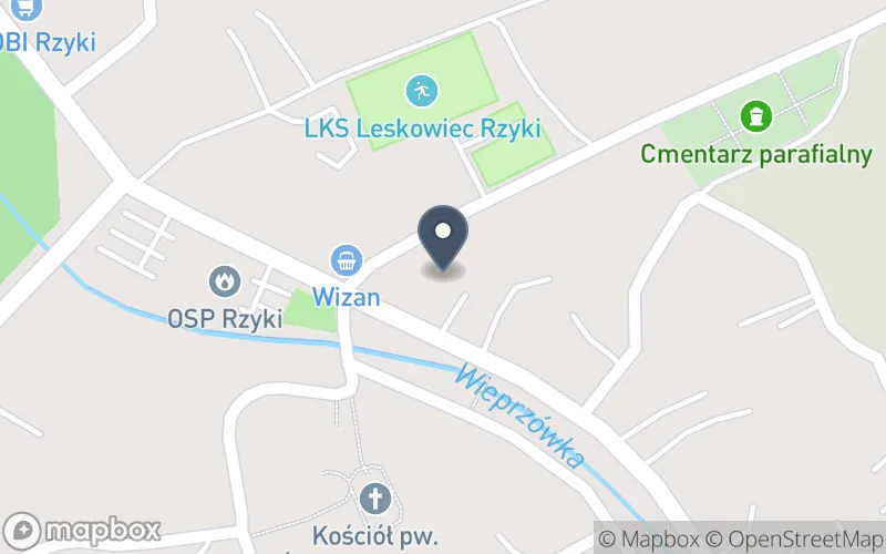 Lokalizacja: Zespół Szkół Samorządowych w Rzykach
