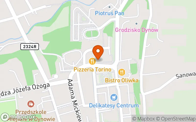 Lokalizacja: Żłobek Miejski w Dynowie