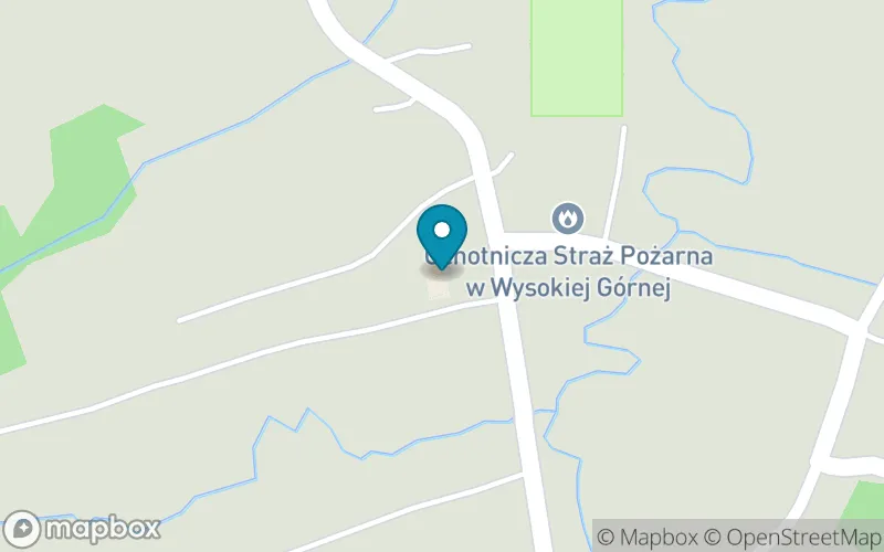 Lokalizacja: Szkoła Podstawowa nr 1 im. Św. Jana Kantego w Wysokiej Strzyżowskiej