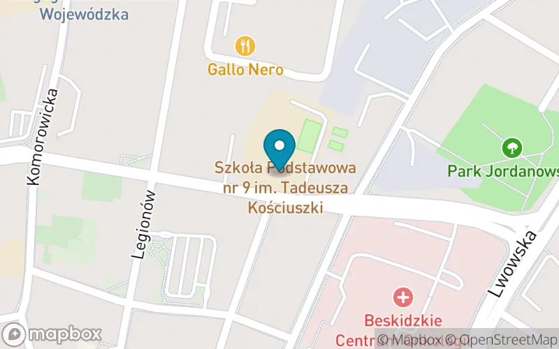 Lokalizacja: Szkoła Podstawowa nr 9 im. Tadeusza Kościuszki w Bielsku-Białej
