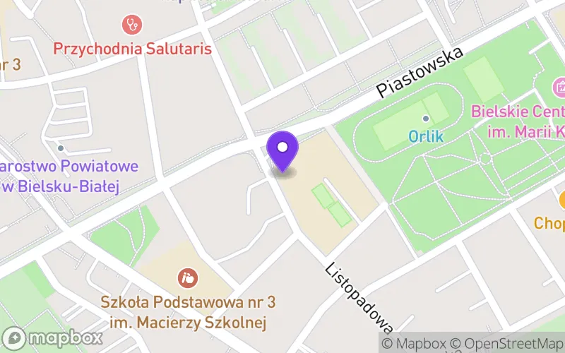 Lokalizacja: I Liceum Ogólnokształcące im. Mikołaja Kopernika w Bielsku-Białej