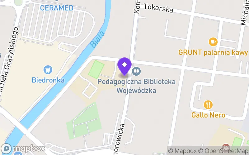 Lokalizacja: Technikum nr 4 w Zespole Szkół Ekonomicznych im. Michała Kaleckiego w Bielsku-Białej