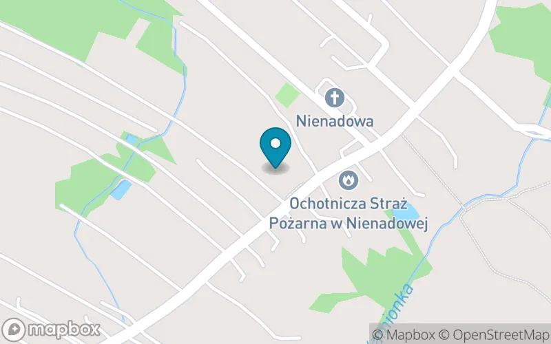 Lokalizacja: Publiczna Szkoła Podstawowa nr 1 w Nienadowej