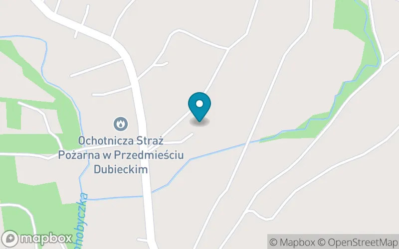 Lokalizacja: Publiczna Szkoła Podstawowa w Przedmieściu Dubieckim