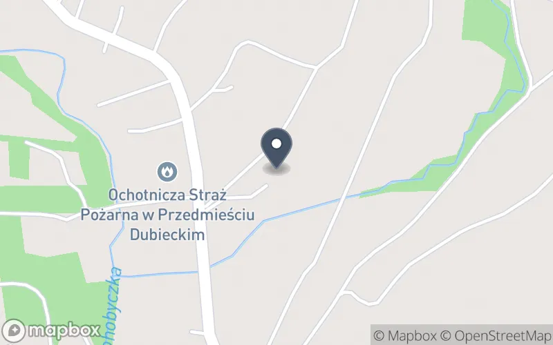 Lokalizacja: Zespół Szkół w Przedmieściu Dubieckim