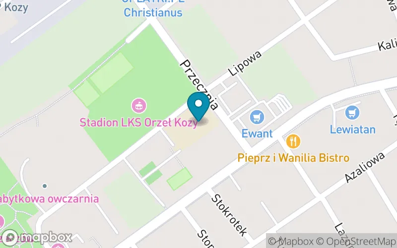 Lokalizacja: Szkoła Podstawowa nr 2 im. Stanisława Staszica w Kozach
