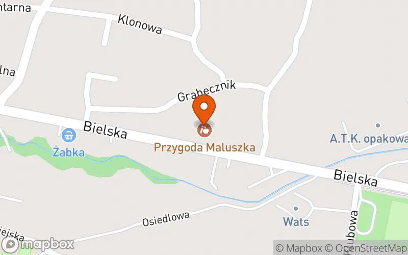 Lokalizacja: Żłobuś Przygoda Maluszka