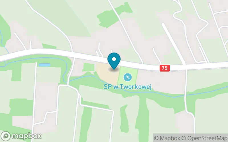 Lokalizacja: Publiczna Szkoła Podstawowa IM I. J. Paderewskiego w Tworkowej