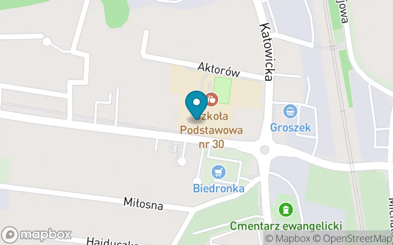Lokalizacja: Szkoła Podstawowa nr 30 w Bielsku-Białej