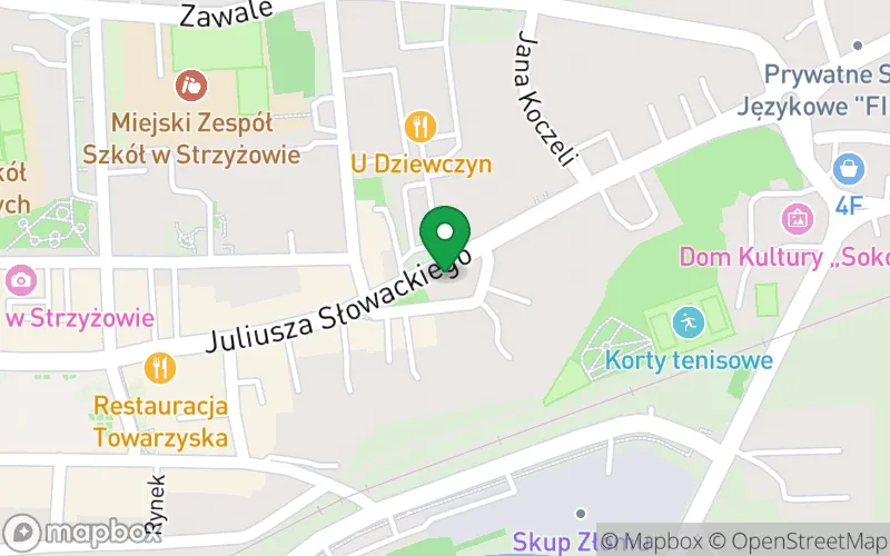 Lokalizacja: Przedszkole Niepubliczne Sióstr Serafitek w Strzyżowie