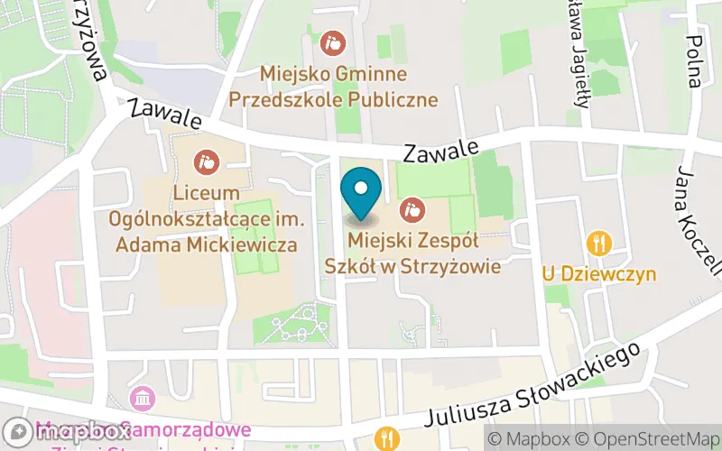 Lokalizacja: Szkoła Podstawowa nr 2 z Oddziałami Dwujęzycznymi im. Marii Konopnickiej w Strzyżowie