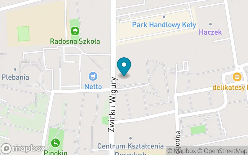 Lokalizacja: Niepubliczna Szkoła Podstawowa Fundacji Królowej Świętej Jadwigi w Kętach