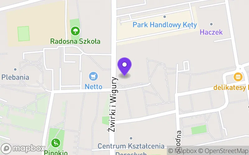 Lokalizacja: Niepubliczne Liceum Ogólnokształcące Fundacji Królowej Świętej Jadwigi w Kętach