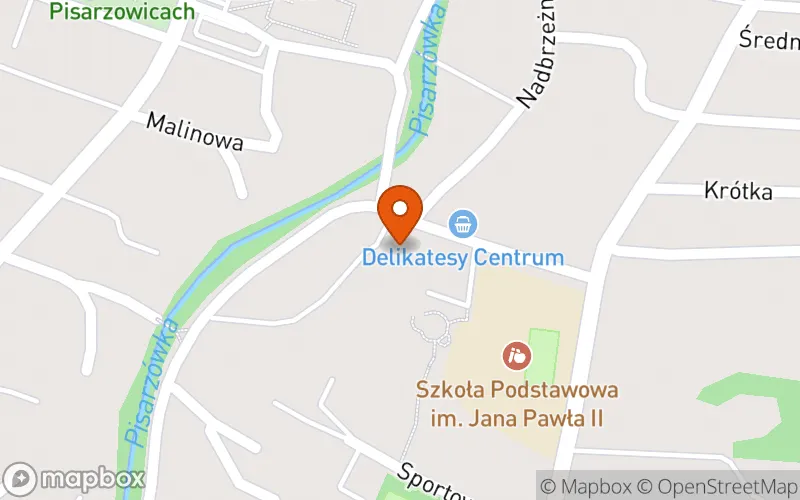 Lokalizacja: Klub Dziecięcy "Karol" w Pisarzowicach