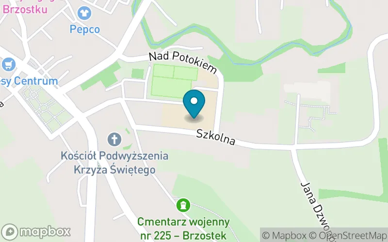 Lokalizacja: Szkoła Podstawowa im. Komisji Edukacji Narodowej w Brzostku