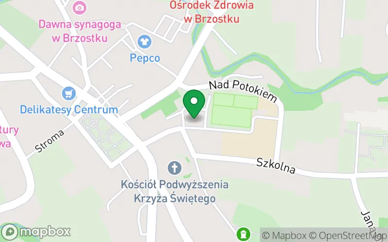 Lokalizacja: Przedszkole w Brzostku