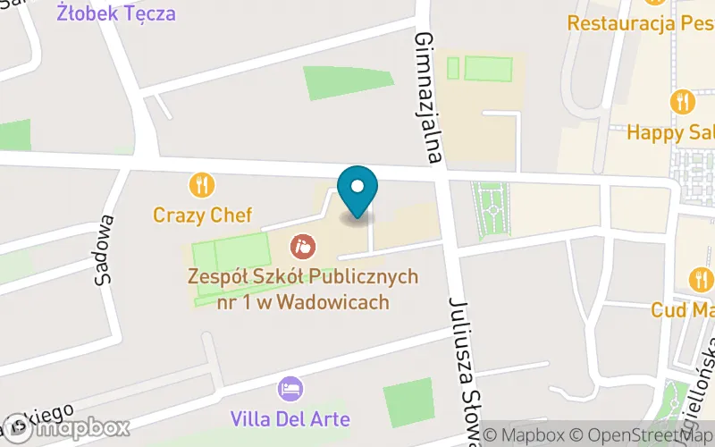 Lokalizacja: Szkoła Podstawowa nr 4 im. W. Broniewskiego w Wadowicach