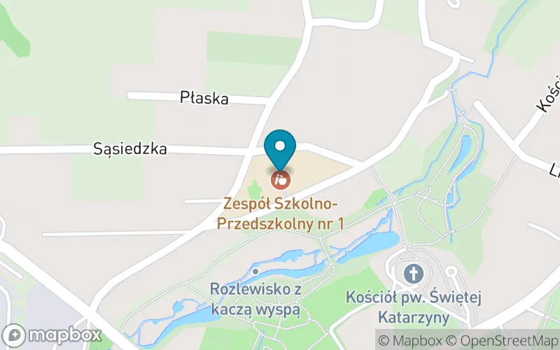 Lokalizacja: Szkoła Podstawowa nr 1 im. J. Brzechwy w Czechowicach-Dziedzicach