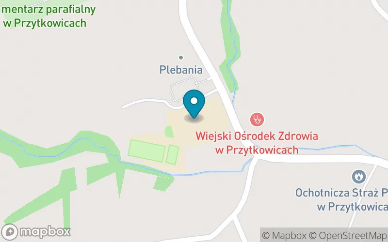 Lokalizacja: Szkoła Podstawowa im. Tadeusza Kościuszki w Przytkowicach