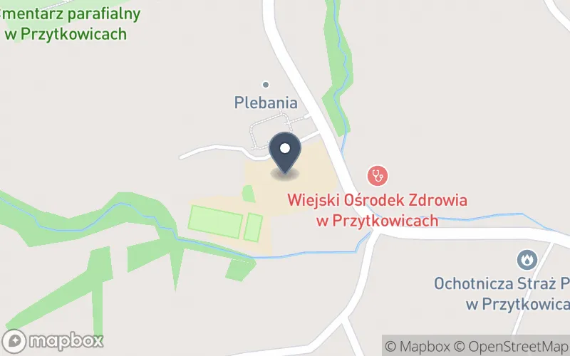 Lokalizacja: Zespół Szkół nr 3 w Przytkowicach