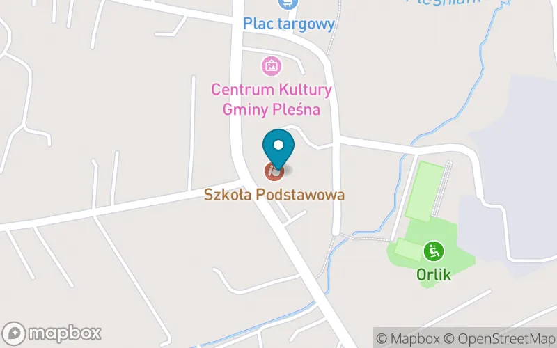 Lokalizacja: Szkoła Podstawowa im. Bronisława Czecha w Pleśnej