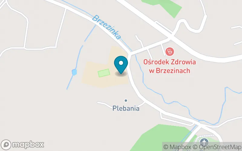 Lokalizacja: Szkoła Podstawowa nr 1 im. Ppłka Ludwika Marszałka "Zbroi" w Brzezinach
