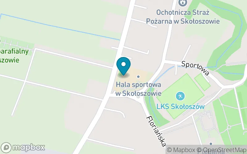 Lokalizacja: Szkoła Podstawowa im. Ignacego Jana Paderewskiego w Skołoszowie