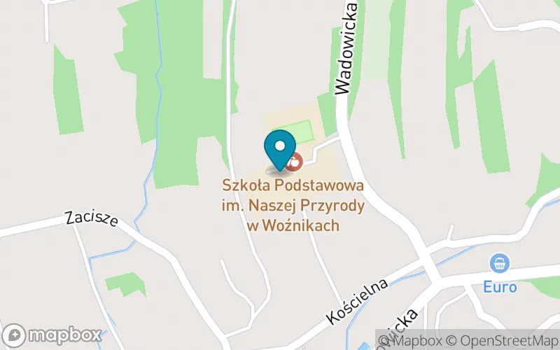 Lokalizacja: Szkoła Podstawowa im. Naszej Przyrody w Woźnikach