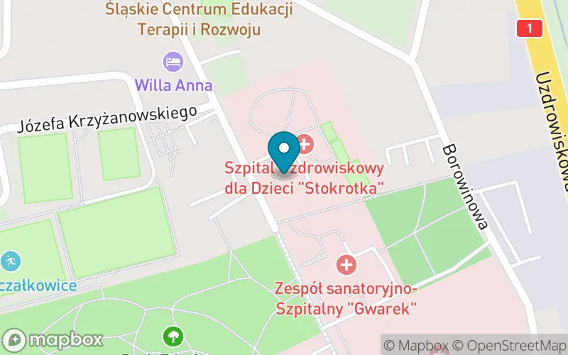 Lokalizacja: Szkoła Podstawowa Specjalna nr 3 w Goczałkowicach Zdroju