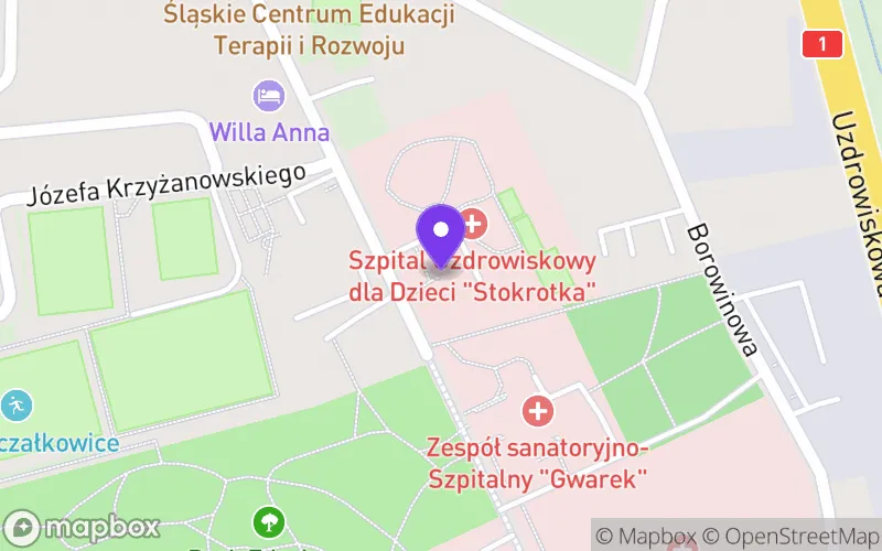 Lokalizacja: Liceum Ogólnokształcące Specjalne nr I w Goczałkowicach-Zdroju