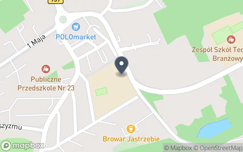 Lokalizacja: Zespół Szkół nr 9 Specjalnych im. Dr Mikołaja Witczaka