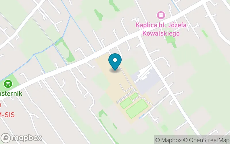 Lokalizacja: Szkoła Podstawowa Im.bł.ks. Józefa Kowalskiego w Siedliskach