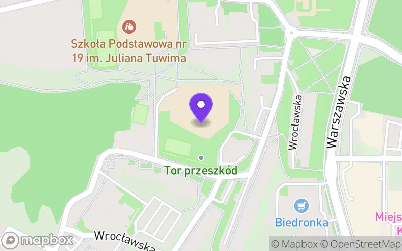 Lokalizacja: III Liceum Ogólnokształcące im. Stanisława Wyspiańskiego