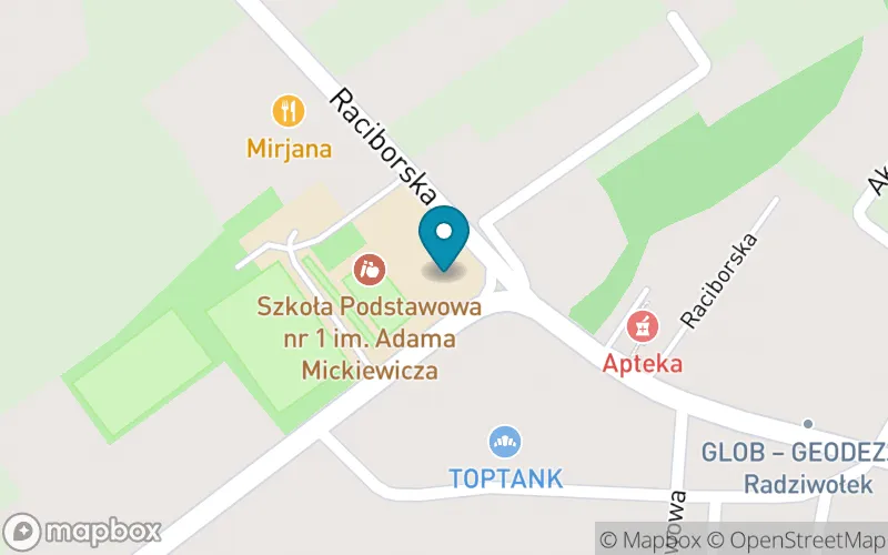 Lokalizacja: Szkoła Podstawowa nr 1 im. Adama Mickiewicza w Gorzycach