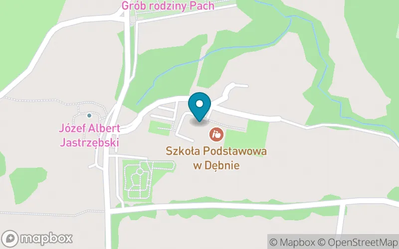 Lokalizacja: Publiczna Szkoła Podstawowa im. Tadeusza Kościuszki w Dębnie