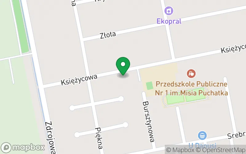 Lokalizacja: Przedszkole nr 6 z Oddziałami Specjalnymi im. Misia Puchatka w Pszczynie